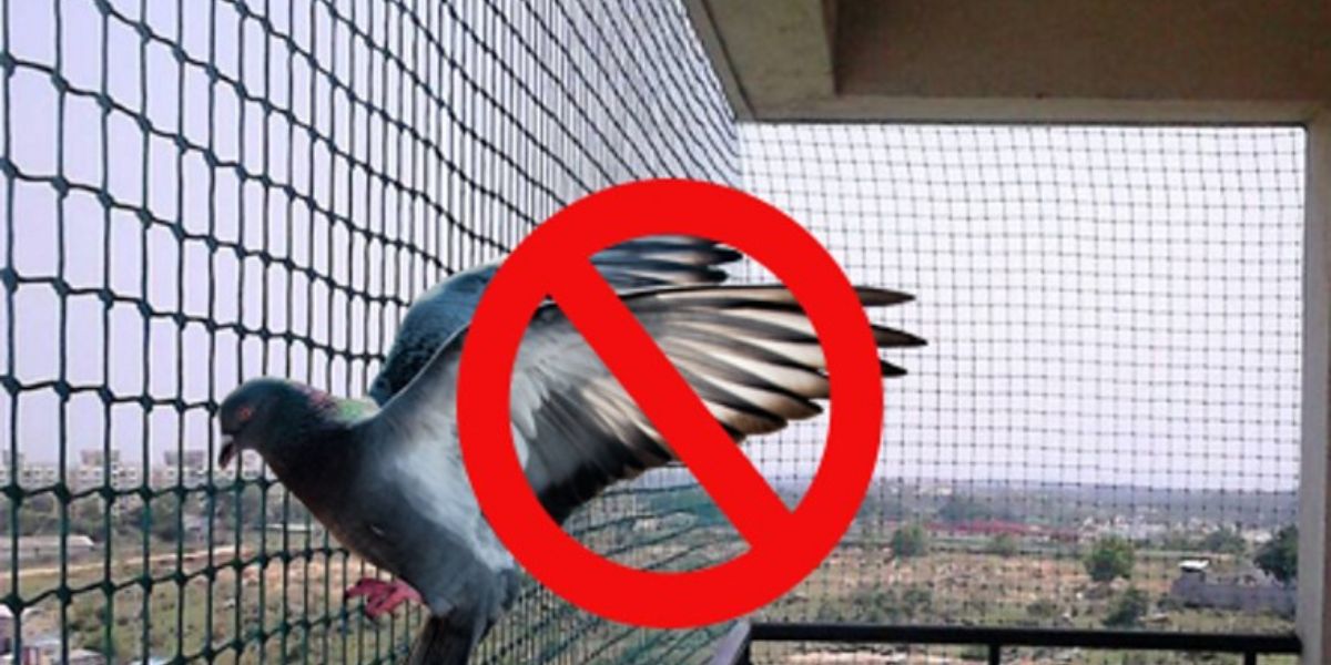 Pigeon Safety Nets in Chennai & Hyderabad | Call 9966444849 | Safety Nets