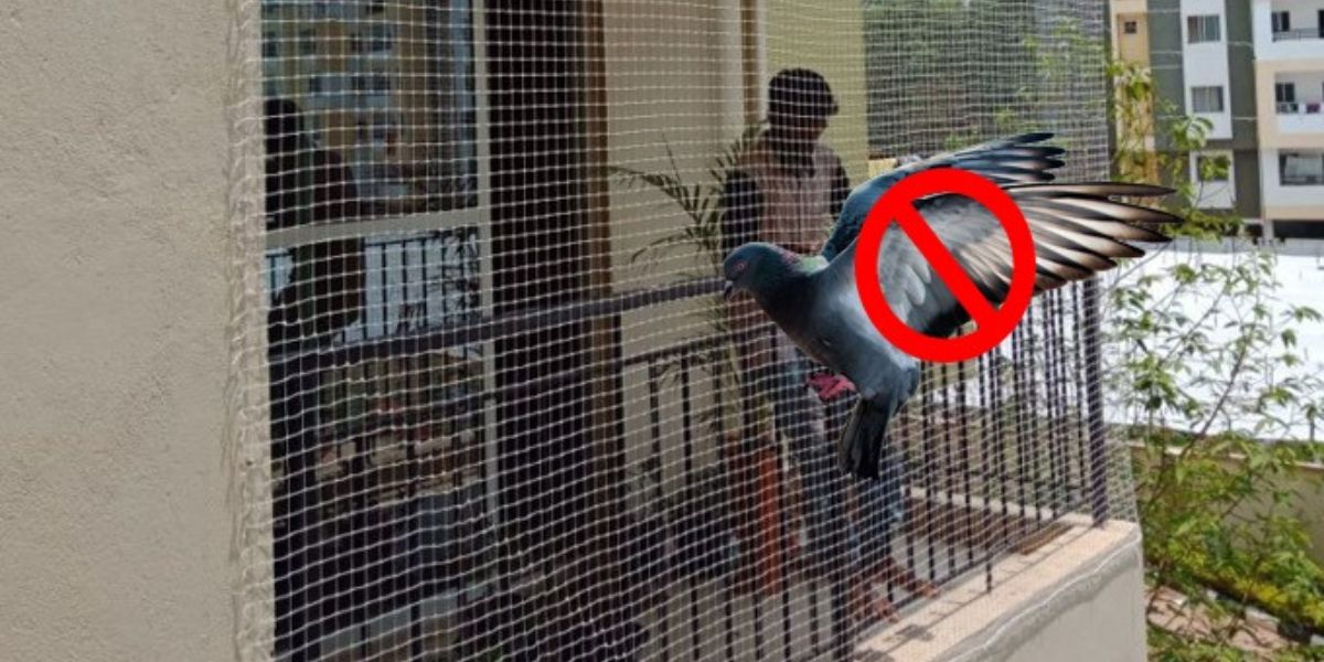 Pigeon Safety Nets in Chennai & Hyderabad | Call 9966444849 | Safety Nets