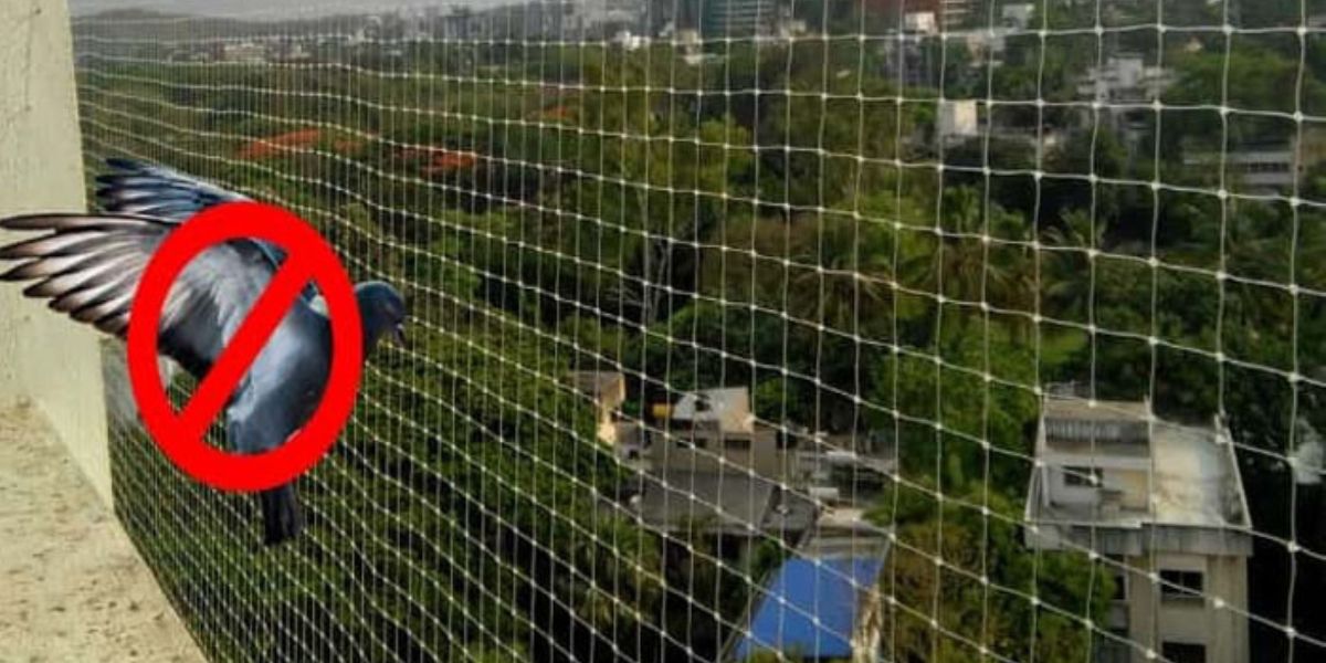 Pigeon Safety Nets in Chennai & Hyderabad | Call 9966444849 | Safety Nets