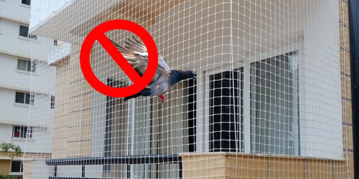 Pigeon Nets Cost Per Square Feet in Chennai & Hyderabad | Call 9966444849