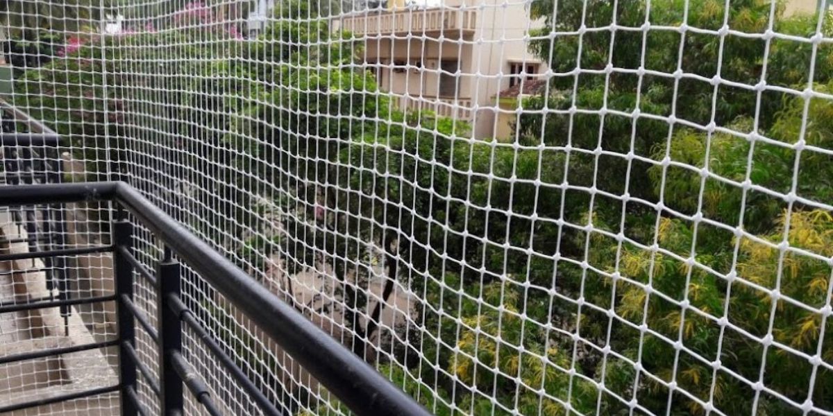 Pigeon Nets for Balconies in Chennai & Hyderabad | Call 9966444849 for Quote